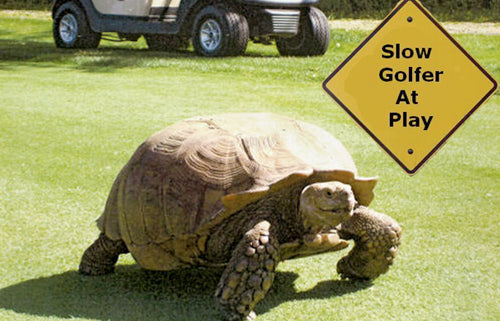 Let's have fun, lets compete, lets play quick!