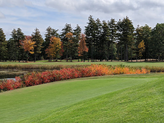 The Impact Fire Oaks Opener